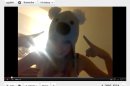 This image made on Friday, March 2, 2012 from video posted on the YouTube website on Dec. 17, 2010 shows a girl with a koala hat asking 