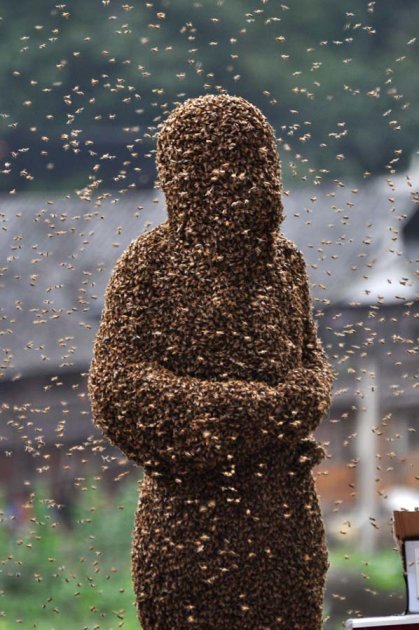 Lu Kongjiang, il secondo classificato, coperto di api