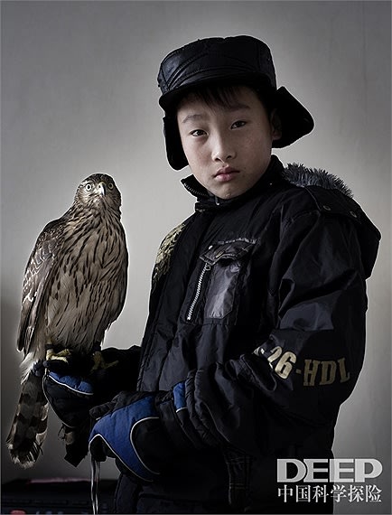 Ảnh: Bên trong 'làng chim ưng' ở Trung Quốc