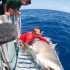 Photo: Giant Bull Shark Surprises Researchers