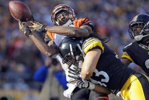 Steelers safety Troy Polamalu retires