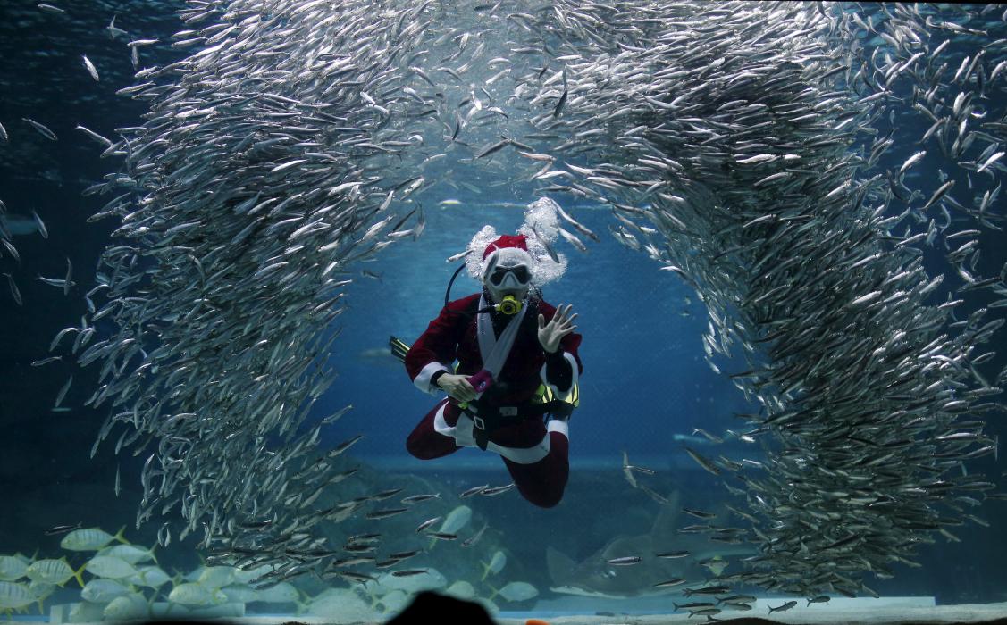 Photos of the day - December 9, 2015