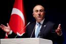 Turkish Foreign Minister Mevlut Cavusoglu says his country will combat Islamic State group militants in Syria "soon"