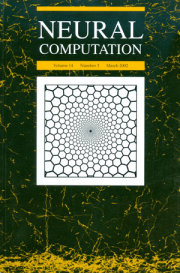 Neural Computation 2002