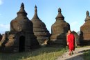 In this photo taken on Nov. 8, 2012, a Buddhist monk walks along ancient pagodas in Mrauk-U, Rakhine state, western Myanmar. Mrauk-U itself has been spared the bloodshed between the Buddhist Rakhine and the Muslim Rohingya that has scarred other parts of Rakhine state. It is calm, and for foreign tourists, safe. But just 10 kilometers (six miles) to the south, there is a village where civilians were reportedly beheaded in a massacre last month that saw women and children slaughtered, then buried in mass graves. Across western Myanmar's Rakhine state, the United Nations is distributing emergency supplies of food and shelter to terrified villagers who have fled burning homes. A nighttime curfew is in force. (AP Photo/Khin Maung Win)
