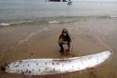 Handout photo of Conservation operations coordinator Catalano of the Catalina Conservancy poses near an oarfish that washed up dead on the beach of Catalina Island, California