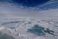 北極海洋酸化嚴重  威脅魚類和漁民生存