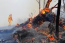 澳洲野火肆虐 數千人逃離家園.