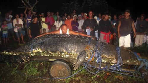 Philippines bắt cá sấu nặng hơn 1 tấn ThumbnailID_518036