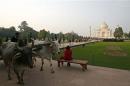 File photo of a bullock cart moving in front of the historic Taj Mahal in Agra