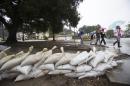 Residents walk past sandbags as rain begins to fall in Glendora, California