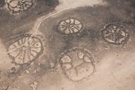 The giant stone structures form wheel shapes with spokes often radiating inside. Here a cluster of wheels in the Azraq Oasis. CREDIT: David D. Boyer
