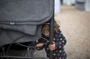 Refugee Moustafa Abdulrahman, 2, from Kobani, Syria, peeks out while standing outside his family's shelter at the refugee camp of Ritsona about 86 kilometers (53 miles) north of Athens, Thursday, Jan. 5, 2017. Over 62,000 refugees and migrants are stranded in Greece after a series of Balkan border closures and an European Union deal with Turkey to stop migrant flows. (AP Photo/Muhammed Muheisen)