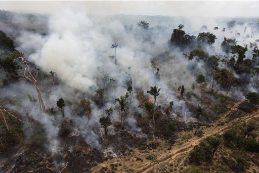 FILE - In this Sept. 15, 2009, file photo a forest in the Amazon is seen being illegally burnt, near Novo Progresso, in the northern Brazilian state of Para. Brazil's lower house of Congress is expected to vote Tuesday, April 24, 2012, on changes to the nation's benchmark environmental law that detractors say would weaken protections for the Amazon rainforest and stoke more destruction. (AP Photo/Andre Penner, file)