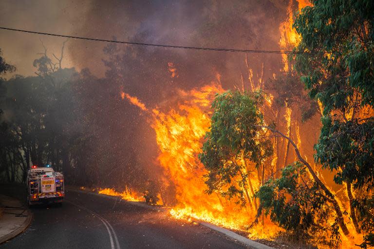A wildfire burns along the edge of the road next to a firetruck in the Stoneville area, a suburb east of Perth in the state of Western Australia, in this January 12, 2014 Department of Fire and Emergency Services photo