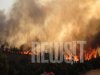 Συνεχείς ρίψεις νερού για να τεθεί υπό έλεγχο η φωτιά στις Αφίδνες - Κάηκαν σπίτια σε Κρυονέρι, Άγιο Στέφανο - Καπνός και στάχτη "πνίγουν" την Αττική