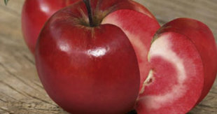  دراسة: تناول تفاحتين يومياً يقلل من الكوليسترول  37201017205425