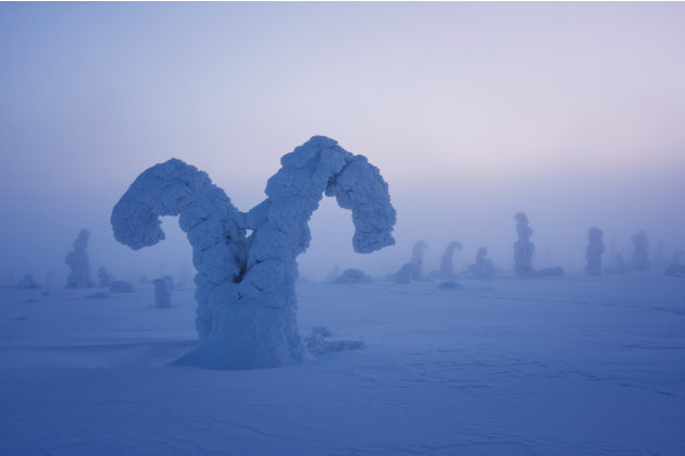 Foto : Dunia Lain Di Lingkar Kutub Utara [ www.BlogApaAja.com ]