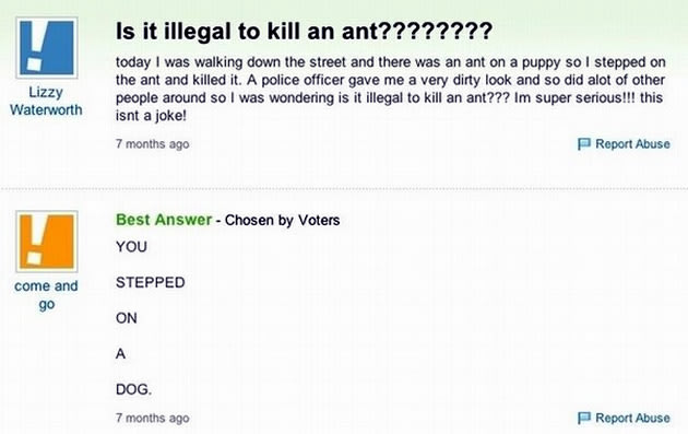 “Is it illegal to kill an …