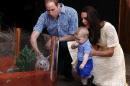 Catherine, the Duchess of Cambridge (R), and her husband Prince William (L), watch as their son Prince George looks at an Australian animal called a Bilby at Sydney's Taronga Zoo on April 20, 2014