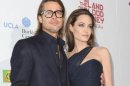Angelina Jolie-Brad Pitt Siap Kolaborasi Lagi