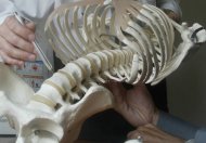 A US medical journal on Tuesday published a scathing critique of industry-funded studies on spine research, alleging that they failed to report adverse events to the journals that publish them