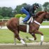 Jonny Garcia gallops I'll Have Another, Monday, June 4, 2012 at Belmont Park in Elmont, N.Y. The Kentucky Derby and Preakness winner goes for horse racings Triple Crown Saturday. (AP Photo/Mark Lennihan)