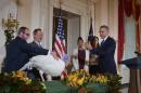 US President Barack Obama pardons the National Thanksgiving Turkey "Cheese" during the annual ceremony in the Grand Foyer of the White House on November 26, 2014 in Washington, DC