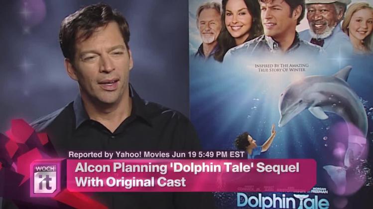 Entertainment News Pop: Alcon Planning 'Dolphin Tale' Sequel With ...
