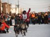 Dallas Seavey reaches the finish line to claim victory in the Iditarod Trail Sled Dog Race in Nome, Alaska, on Tuesday, March 13, 2012. (AP Photo/Marc Lester, Anchorage Daily News )