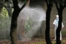 A worker sprays insecticide at Yoyogi Park, believed to be the source of a dengue fever outbreak, on August 28, 2014