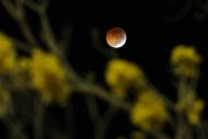 Total lunar eclipse set for Africa, Middle East, C. Asia Photo_1308136086746-1-0