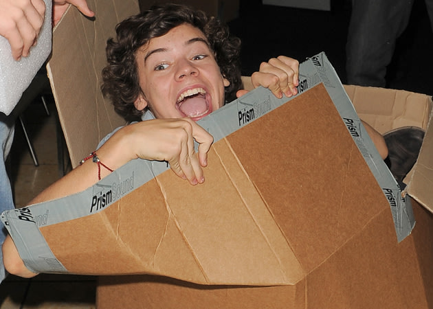harry styles Living in a box SURPRISE Harry Styles made it as omg