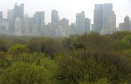 The top of the trees in Central Park and the New York City skyline seen from Metropolitan Museum of Art's Roof Garden in April. The daughter of a Russian billionaire has broken New York real estate records by paying $88 million for a huge Manhattan apartment, Forbes magazine reported. (AFP Photo/Timothy A. Clary)