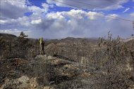 Un brigadista forestal observa la gran zona quemada en el término municipal de Cortes de Pallás, donde el pasado viernes comenzó el incendio forestal que ha afectado a más de diez muncipios de la provincia de Valencia. EFE