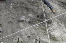 Numerosos restos óseos humanos que se encontraban enterrados y dispersos han sido hallados en el municipio malagueño de Istán, han informado hoy a Efe fuentes de la Guardia Civil, que está investigando el hallazgo. EFE/Archivo