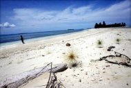 Praia nas Ilhas Molucas