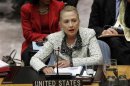 U.S. Secretary of State Clinton speaks during Security Council meeting in New York
