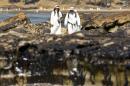 Crew members inspect the oil spill damage at Refugio State Beach in Goleta, California