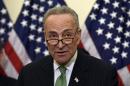 Sen. Charles Schumer, D-N.Y. speaks during a news conference on Capitol Hill in Washington, Wednesday, Jan. 7, 2015. Schumer is calling for daily federal screening of airport and airline workers for weapons following last month's arrests of five men accused of smuggling guns through the New York and Atlanta airports. (AP Photo/Susan Walsh)