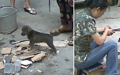 The Chinese woman is said to have roasted the dog near the entrance of Kengkou market, in Guangzhou. (Screengrab from chinaSMACK.com)