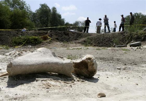 Orang-orang berdiri di dekat tulang mammoth, yang ditemukan di dasar sungai kering di kawasan Manuel Doblado, di negara bagian Guanajuato, Meksiko, 12 Juni 2012.