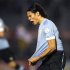 Uruguay's Cavani celebrates after scoring a goal against Ecuador in their 2014 World Cup qualifying soccer match in Montevideo