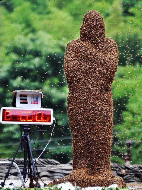 In this photo released by Xinhua News Agency, 42-year-old beekeeper Wang Dalin is covered with bees during a contest against 20-year-old Lu Kongjiang, also a beekeeper, in Longhui County of Shaoyang C