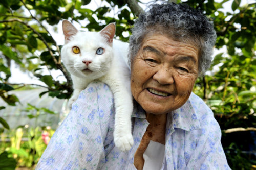 Tình bạn cảm động của bà lão 88 tuổi và mèo Grand1-jpg_035316