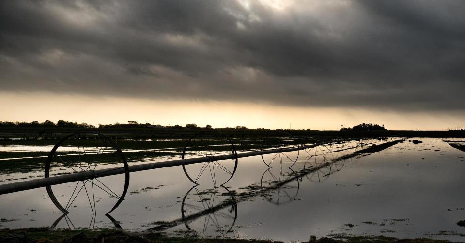 Texas farmers facing &#39;total loss for this year&#39;