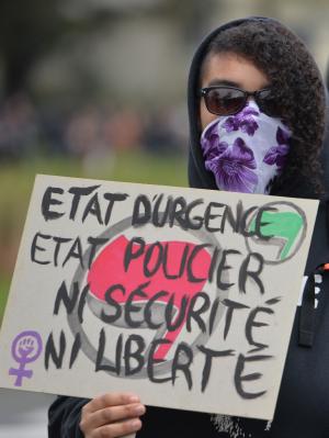 A demonstrator in Rennes on January 23, 2016 holds&nbsp;&hellip;