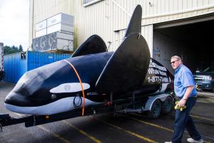 A fake life-sized orca sits on the docks of Pier Two&nbsp;&hellip;