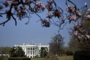 Google is opening doors to the White House on the Internet by letting users pay virtual visits to all the public rooms