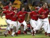 Stony Brook celebrates after defeating LSU 7-2 in Game 3 of an NCAA college baseball tournament super regional game in Baton Rouge, La., Sunday, June 10, 2012. Stony Brook advances to the College World Series. (AP Photo/Gerald Herbert)